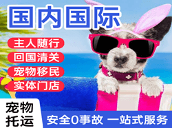 王村航空快运国际宠物托运 【国